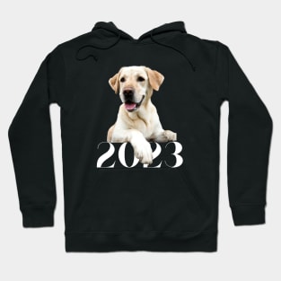 2023 Canine Design Hoodie